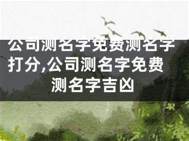 公司名字打分